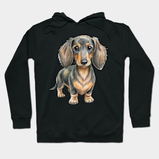 Adorable Dachshund Dog Breed Hoodie